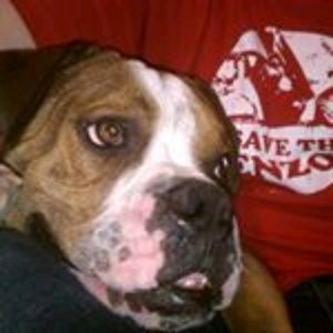 Meet your Posher, Steve